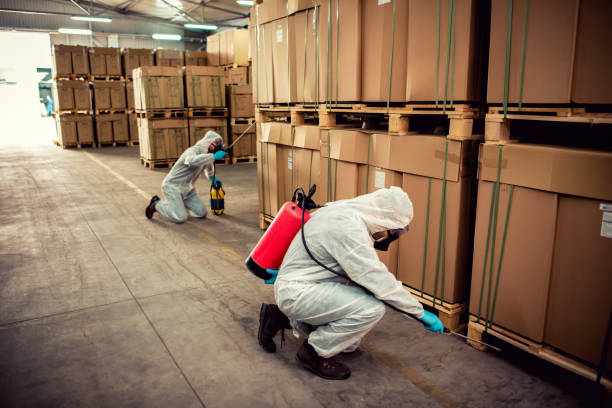 Reliable Anahola, HI Pest Control Solutions