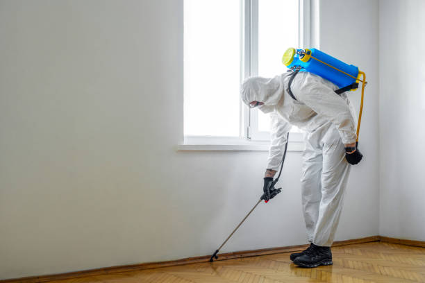 Pest Control Cost in Anahola, HI