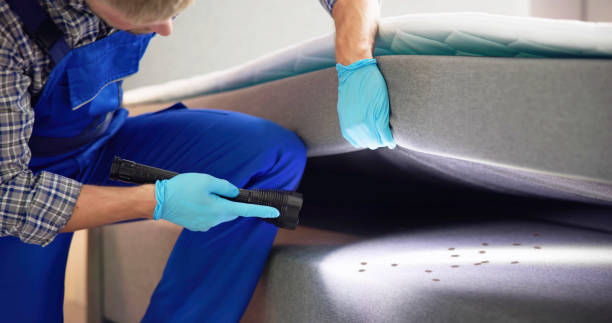 Best Mosquito Control Services  in Anahola, HI