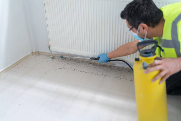 Best Cockroach Control Services  in Anahola, HI